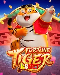K8BET.COM